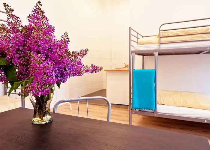 Sleep Cheap Hostel