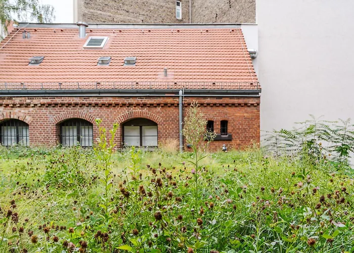 Resort: Wilmina Hotel