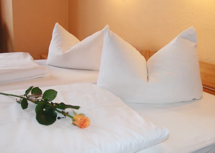 Gästehaus: Hotel am Hermannplatz